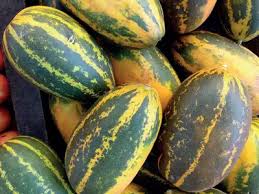 Bangalore yellow Cucumber (Vellerika) – 500g