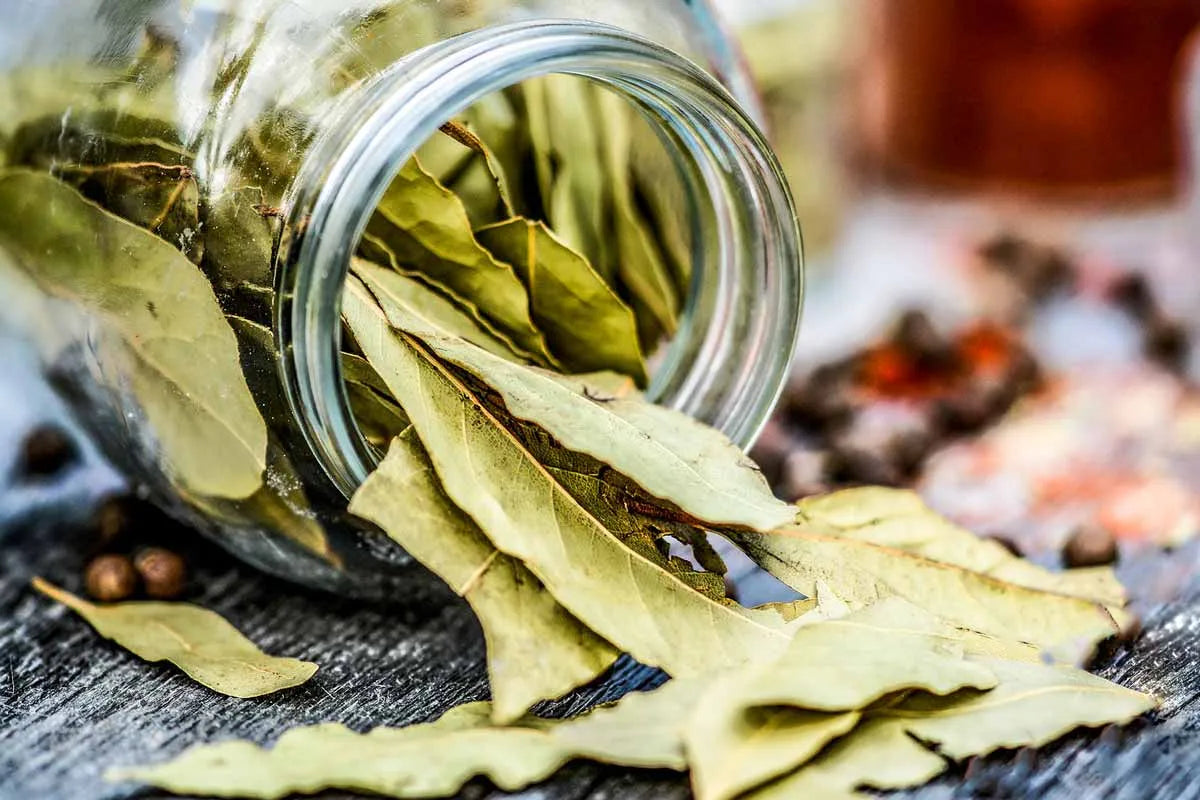 Heera Dry Bay leaves 10g
