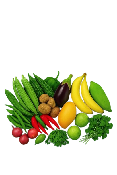 Fresh Vegetables