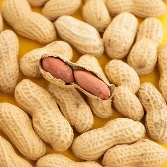 Fresh Peanuts 500gr