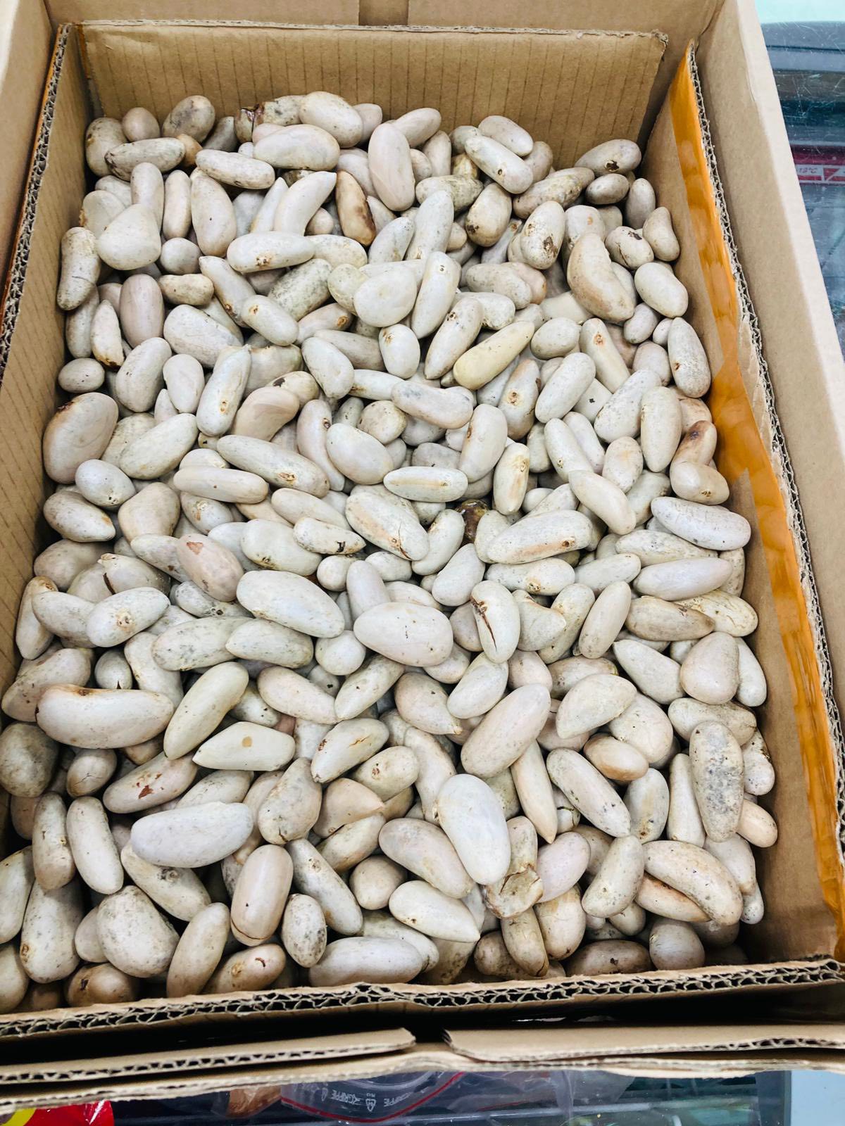 Jackfrugtfrø 500g