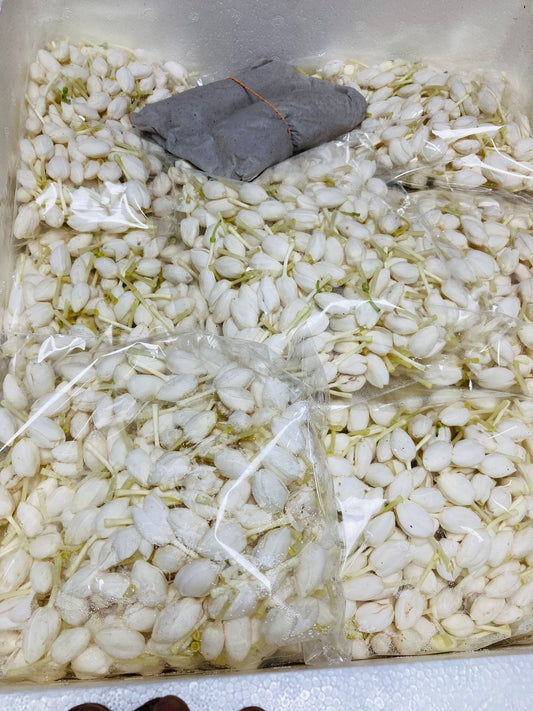 fresh-jasmine-buds-flowers 500g
