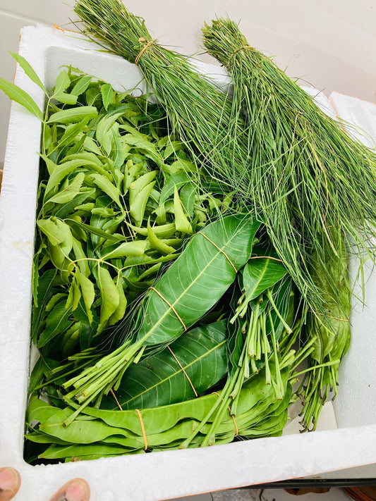 Fresh Mango leaves & Neem leaves